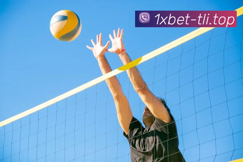 1xbet官网品牌故事